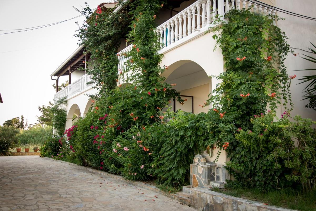 Leonidas Studios Laganas Exteriér fotografie